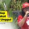 Handep Hapakat UPR Unggul – Dr Ir Sosilawaty MP