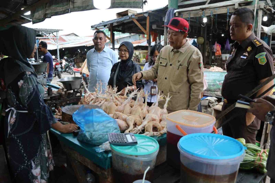 WhatsApp-Image-2023-06-07-at-12.39.51