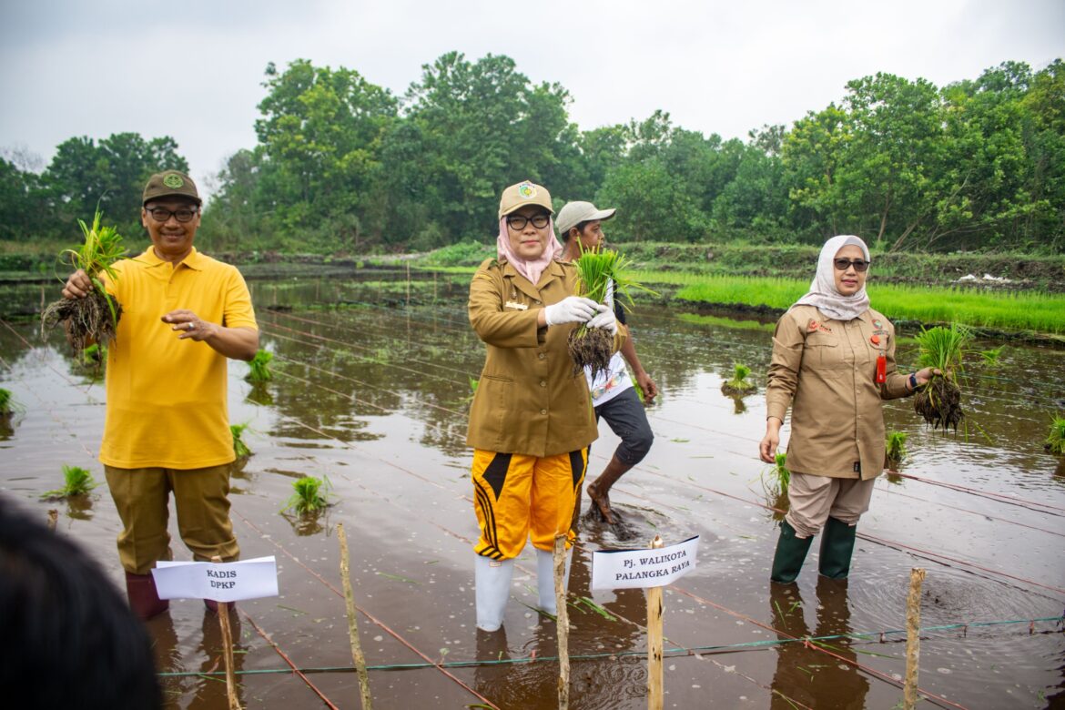 WhatsApp-Image-2023-10-09-at-14.33.09